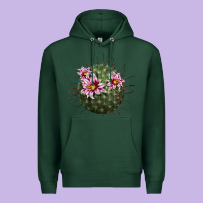 Arizona Fishhook Cactus Premium Hoodie Designed By Lillyallendesigns