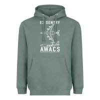 Sage e 3 sentry awacs plane gift Heavyweight Hoodie - DesigneFamous
