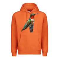 Carrot Ruby Throated Hummingbird Bird Premium Hoodie - LillyAllenDesigns