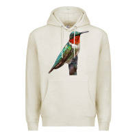 Oatmeal Heather Ruby Throated Hummingbird Bird Premium Hoodie - LillyAllenDesigns