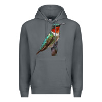 Rock Ruby Throated Hummingbird Bird Premium Hoodie - LillyAllenDesigns