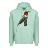 Seafoam Ruby Throated Hummingbird Bird Premium Hoodie - LillyAllenDesigns