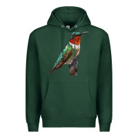Sports Green Ruby Throated Hummingbird Bird Premium Hoodie - LillyAllenDesigns