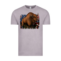 Vintage Zinc American Bison Vintage Tee - Jasminsmagicworld