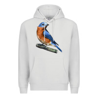 Dove Grey Eastern Bluebird Premium Hoodie - LillyAllenDesigns