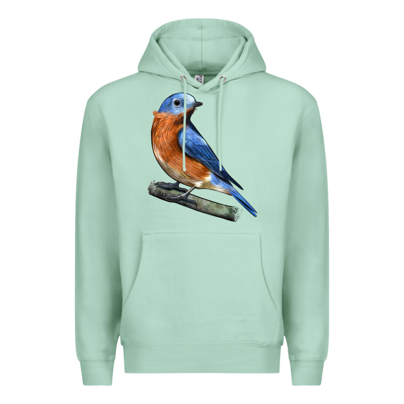 Eastern Bluebird Premium Hoodie by LillyAllenDesigns | Teevron