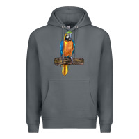 Rock blue throated macaw Premium Hoodie - LillyAllenDesigns