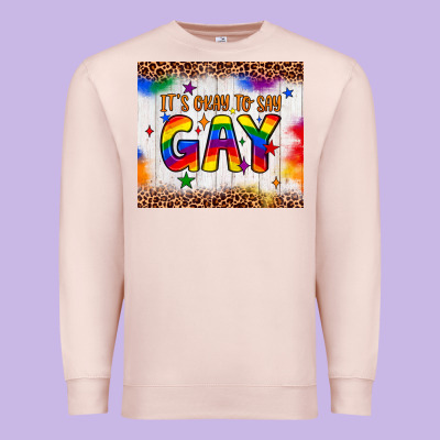 It's Okay To Say Gay Tumbler Premium Sweatshirt Designed By Jahusdesignshop