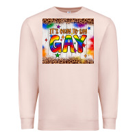 Pale Pink it's okay to say gay tumbler Premium Sweatshirt - JahusDesignShop