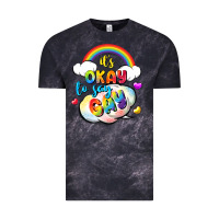 Its Okay To Say Gay Pride Vintage Tee | Teevron