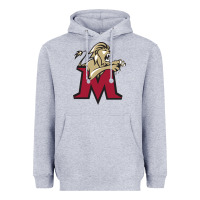 Heather Grey lions, molloy college Heavyweight Hoodie - linhVisuals