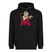 Black lions, molloy college Heavyweight Hoodie - linhVisuals