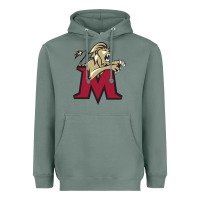 Sage lions, molloy college Heavyweight Hoodie - linhVisuals
