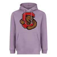 Lavender The cornell big red Heavyweight Hoodie - linhVisuals