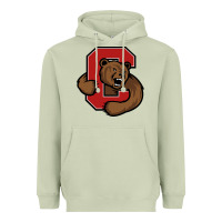 Matcha The cornell big red Heavyweight Hoodie - linhVisuals