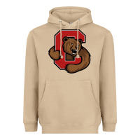 Mushroom The cornell big red Heavyweight Hoodie - linhVisuals