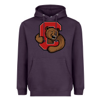 Plum The cornell big red Heavyweight Hoodie - linhVisuals