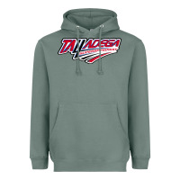 Sage Talladega Superspeedway Heavyweight Hoodie - linhVisuals