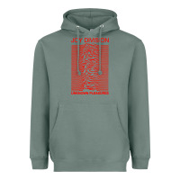 Joy Division Heavyweight Hoodie | Teevron