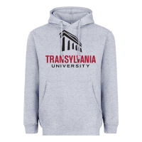 Heather Grey transylvania university Heavyweight Hoodie - linhVisuals