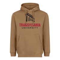 Toasted Coconut transylvania university Heavyweight Hoodie - linhVisuals