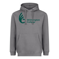 Storm wilmington college Heavyweight Hoodie - linhVisuals