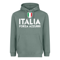 Sage italia soccer jersey Heavyweight Hoodie - linhVisuals