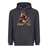 The  Coyotes Heavyweight Hoodie | Teevron