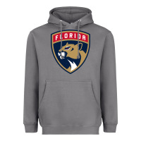 Storm the  panthers Heavyweight Hoodie - linhVisuals