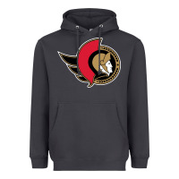 Smoke the senators Heavyweight Hoodie - linhVisuals
