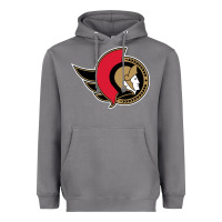 Storm the senators Heavyweight Hoodie - linhVisuals