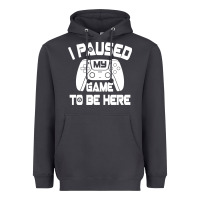 I Paused My Game To Be Here Heavyweight Hoodie | Teevron