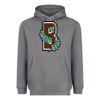 Storm brown university Heavyweight Hoodie - linhVisuals