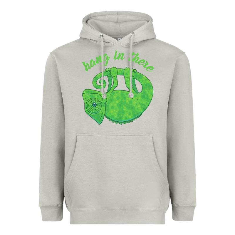 Hang In There Magical Chameleon Heavyweight Hoodie by linhVisuals | Teevron