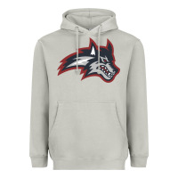 Moon Dust stony brook seawolves Heavyweight Hoodie - linhVisuals