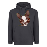 Smoke zippy the boston terrier Heavyweight Hoodie - linhVisuals