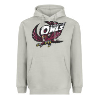 Moon Dust temple owls Heavyweight Hoodie - linhVisuals