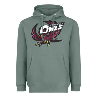 Sage temple owls Heavyweight Hoodie - linhVisuals