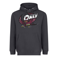 Smoke temple owls Heavyweight Hoodie - linhVisuals