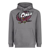 Storm temple owls Heavyweight Hoodie - linhVisuals