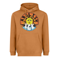 Meerkat Ice Abolish Heavyweight Hoodie - linhVisuals