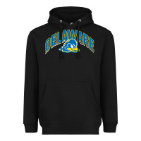 Black delaware sportss Heavyweight Hoodie - linhVisuals