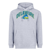 Heather Grey delaware sportss Heavyweight Hoodie - linhVisuals