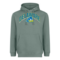 Sage delaware sportss Heavyweight Hoodie - linhVisuals