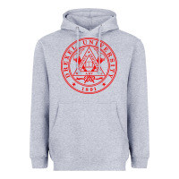 Heather Grey drexel university Heavyweight Hoodie - linhVisuals
