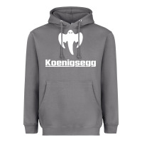Storm ghost koenisegg Heavyweight Hoodie - linhVisuals