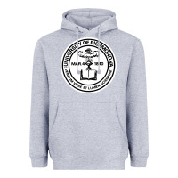 Heather Grey University of Richmond Heavyweight Hoodie - linhVisuals