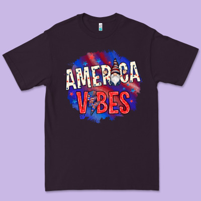 America Vibes With Gnome Premium Tee Designed By Howdyjamesfarm