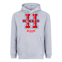 Heather Grey howard 1867 university Heavyweight Hoodie - linhVisuals