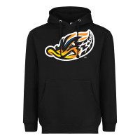 Black akron-rubber-ducks Heavyweight Hoodie - linhVisuals